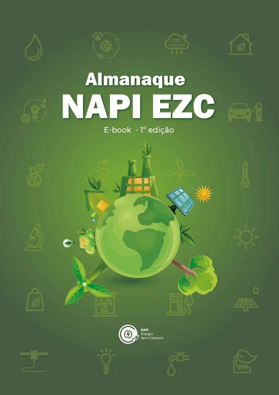 Almanaque NAPI EZC